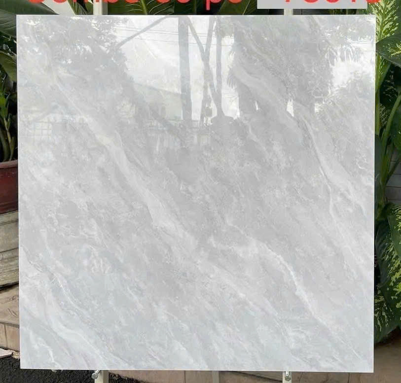 Gạch ốp lát 80x80cm Tasa-4455